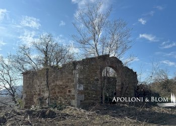 Casale Torrita di Siena - foto 11