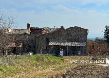 Casale Torrita di Siena - foto 12