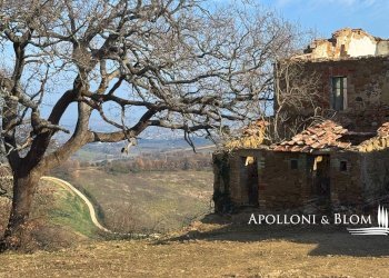 Casale Torrita di Siena - foto 13
