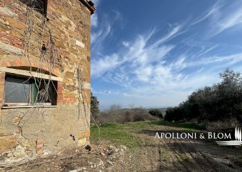 Casale Torrita di Siena - foto 17