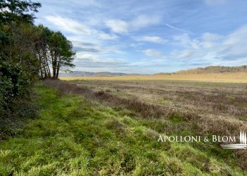 Rustico Città della Pieve - foto 14
