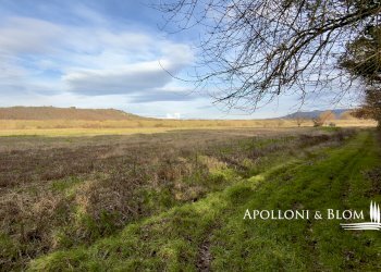 Rustico Città della Pieve - foto 15