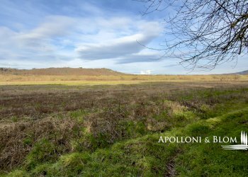 Rustico Città della Pieve - foto 16