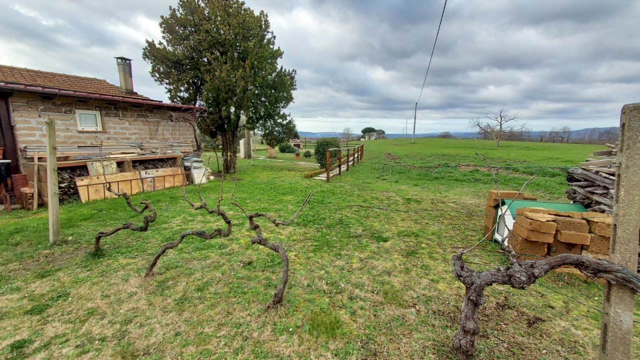 Agricultural land Pitigliano - photo 2