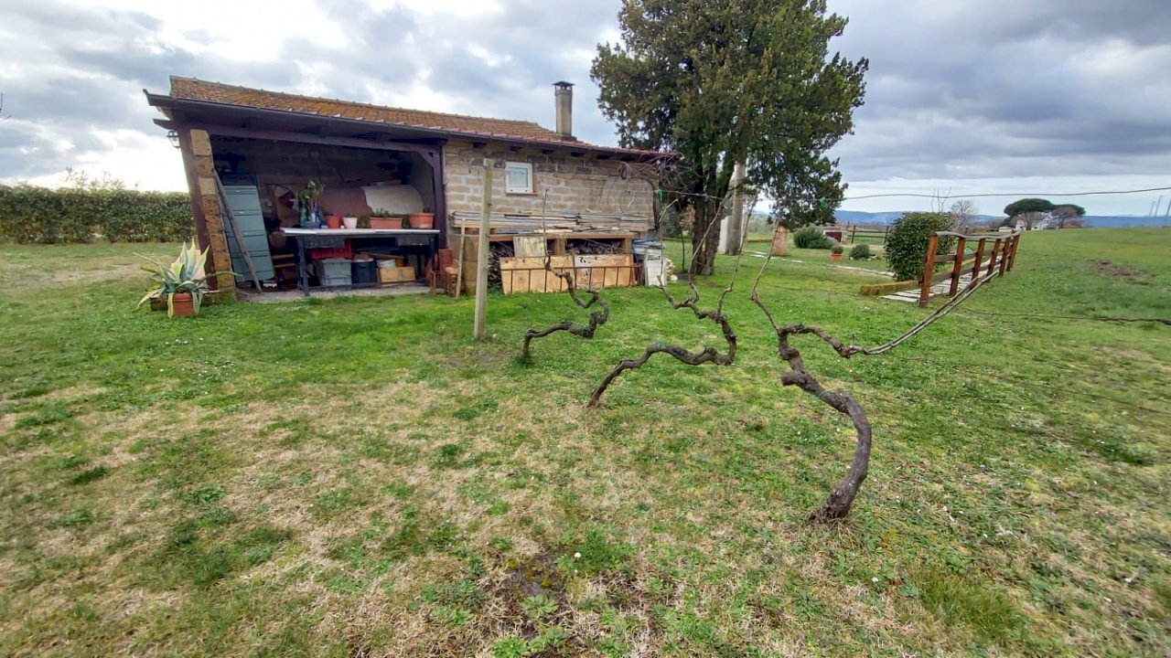 Agricultural land Pitigliano - photo 3