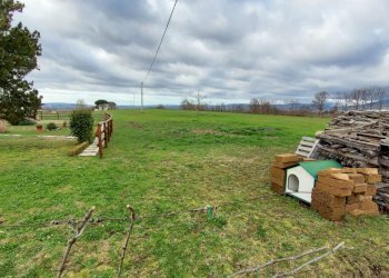Terreno agricolo Pitigliano - foto 1