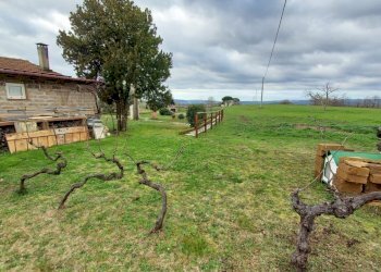 Terreno agricolo Pitigliano - foto 2