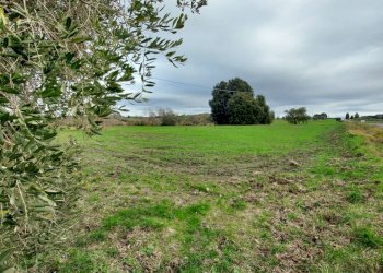 Terreno agricolo Pitigliano - foto 5