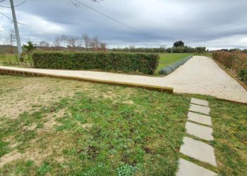 Terreno agricolo Pitigliano - foto 8