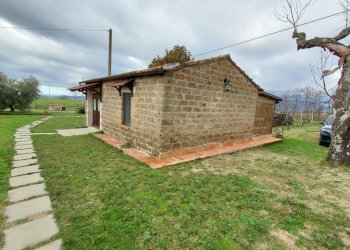 Terreno agricolo Pitigliano - foto 9