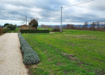 Terreno agricolo Pitigliano - foto 11