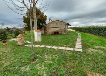 Terreno agricolo Pitigliano - foto 12