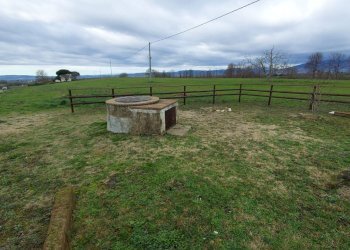 Terreno agricolo Pitigliano - foto 13