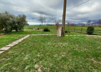 Terreno agricolo Pitigliano - foto 14