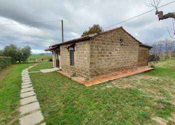 Terreno agricolo Pitigliano - foto 17