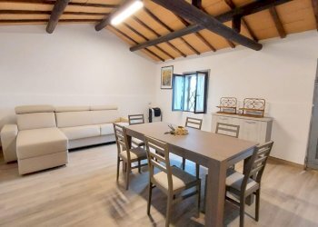 Terreno agricolo Pitigliano - foto 21