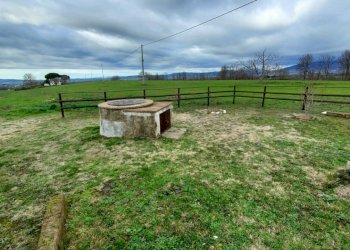 Terreno agricolo Pitigliano - foto 23