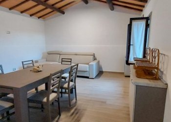 Terreno agricolo Pitigliano - foto 24