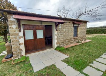 Terreno agricolo Pitigliano - foto 26