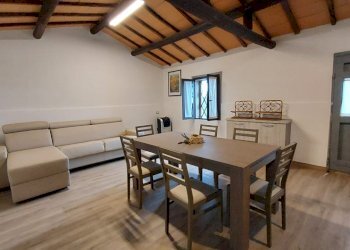 Terreno agricolo Pitigliano - foto 28