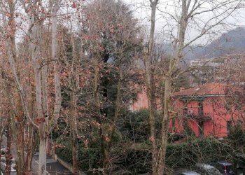 Four-room apartment Via Risorgimento, Casalecchio di Reno - photo 15