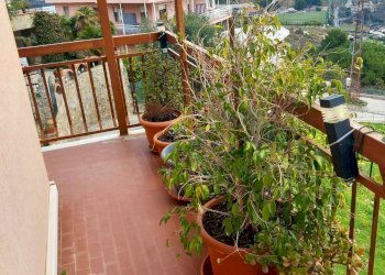 Bilocale Santo Stefano al Mare - foto 11