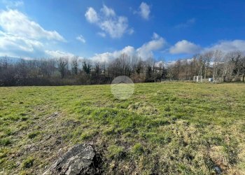 Terreno agricolo Borgata selvaggio rio, Giaveno - foto 2