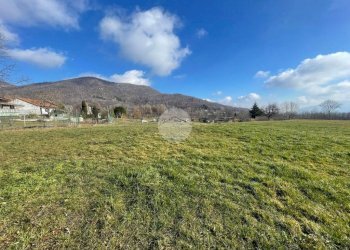 Terreno agricolo Borgata selvaggio rio, Giaveno - foto 8