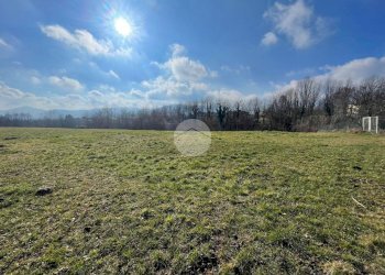 Terreno agricolo Borgata selvaggio rio, Giaveno - foto 9