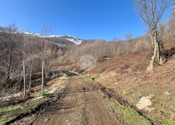 Casa semi indipendente Case latisein, Coassolo Torinese - foto 33