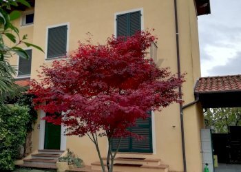 Villa a Schiera Via Portiglie, 15
Roasio, Roasio - foto 2