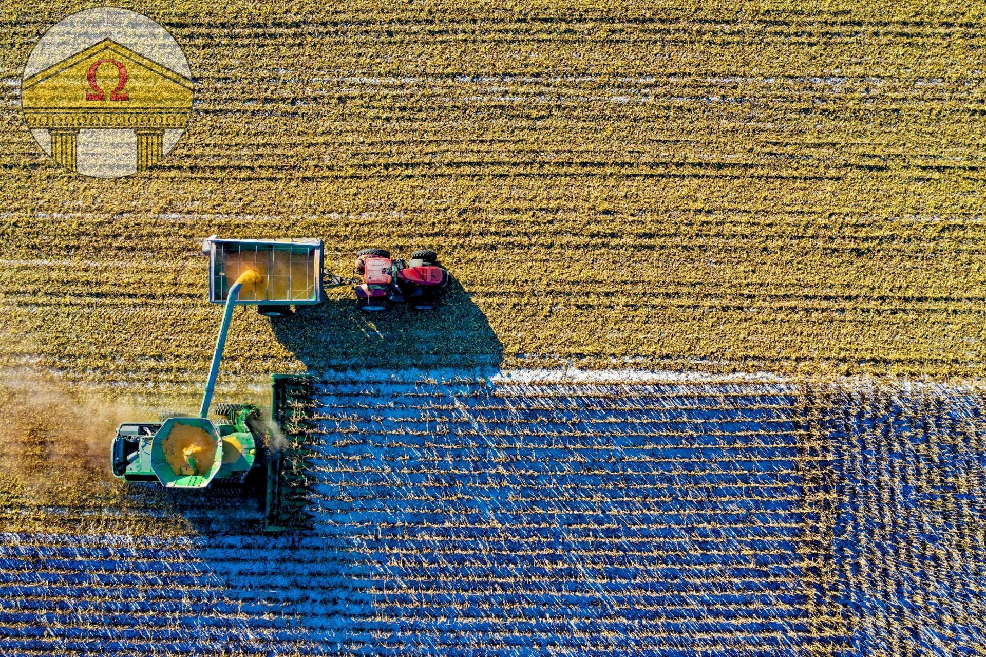 Foto 2 - Agricultural land Volpago del Montello - photo 2