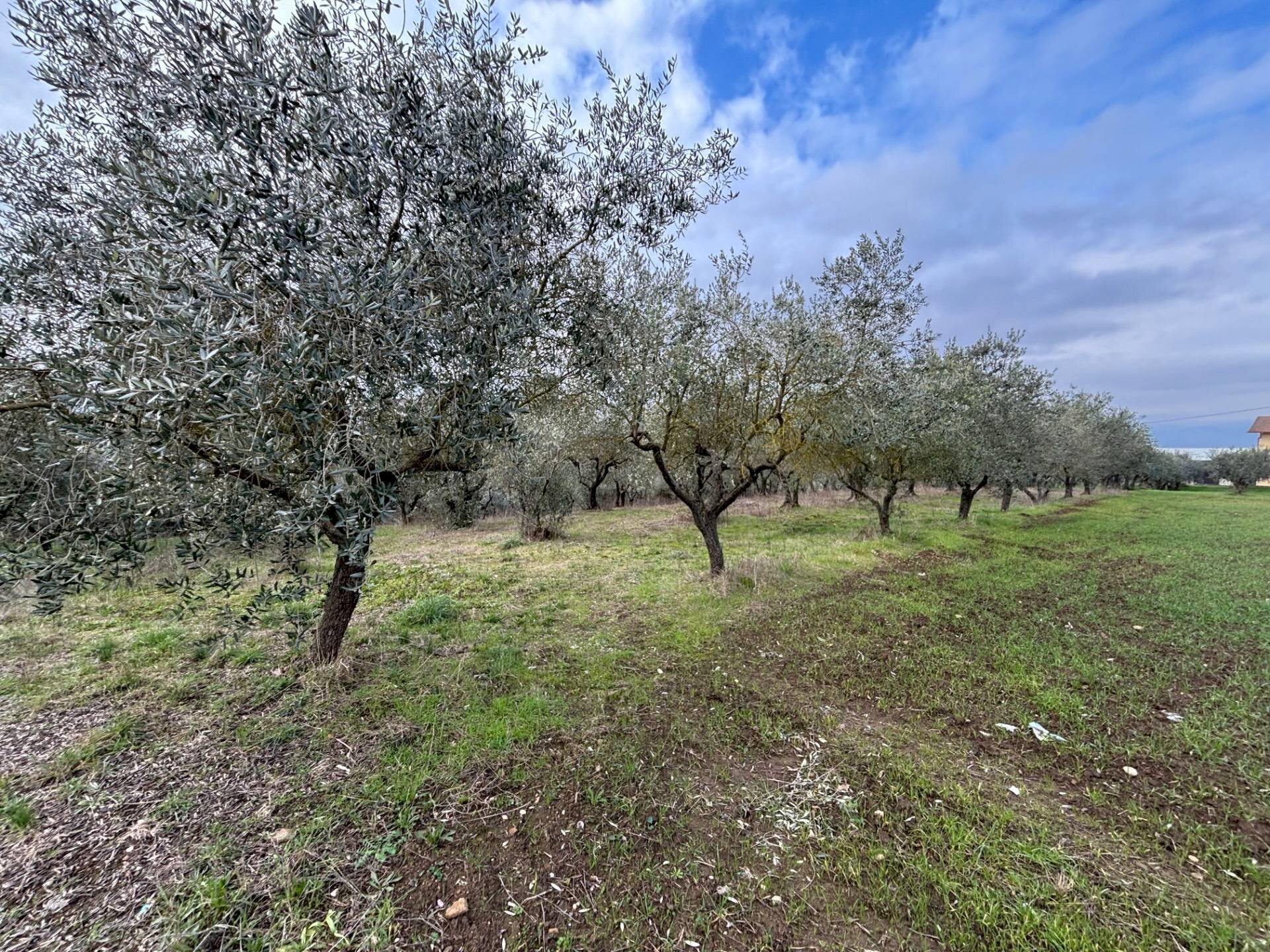 Foto 3 - Building land Benevento - photo 3