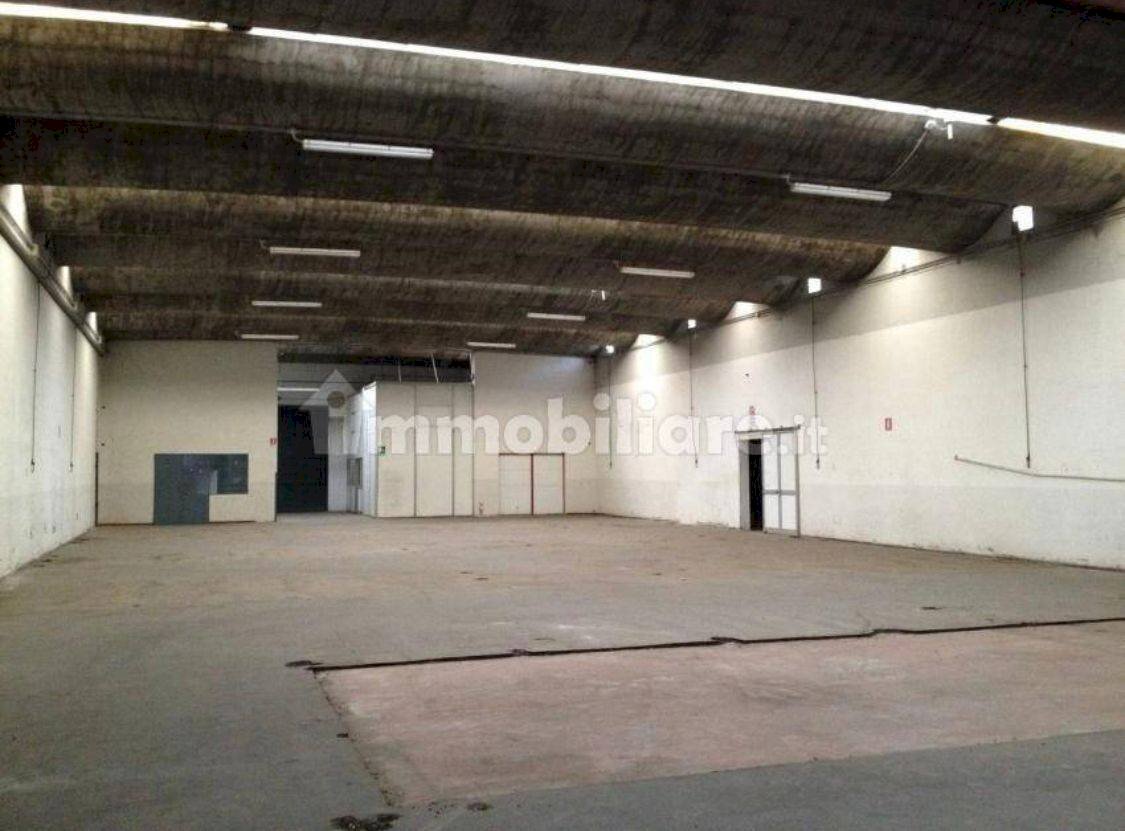 Foto 1 - Capannone Viale Europa, Bottanuco - foto 1