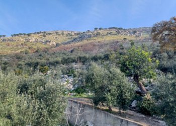 Foto 19 - Independent house Camminate di Sotto, Sonnino - photo 19