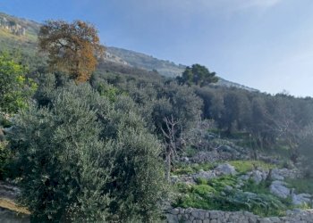 Foto 20 - Independent house Camminate di Sotto, Sonnino - photo 20