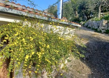 Foto 25 - Independent house Camminate di Sotto, Sonnino - photo 25