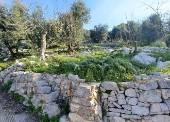 Foto 26 - Independent house Camminate di Sotto, Sonnino - photo 26