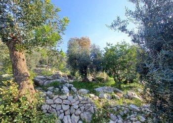 Foto 27 - Independent house Camminate di Sotto, Sonnino - photo 27