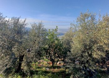 Foto 29 - Independent house Camminate di Sotto, Sonnino - photo 29