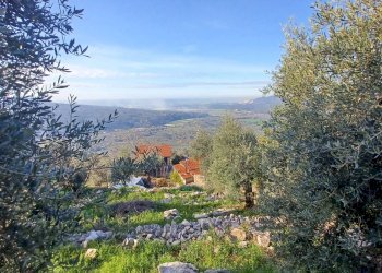 Foto 30 - Independent house Camminate di Sotto, Sonnino - photo 30