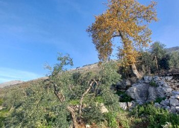 Foto 31 - Independent house Camminate di Sotto, Sonnino - photo 31