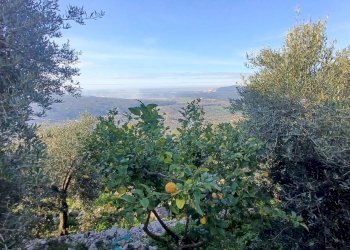 Foto 32 - Independent house Camminate di Sotto, Sonnino - photo 32