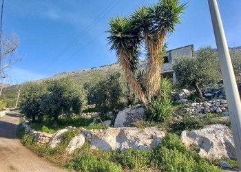 Foto 38 - Independent house Camminate di Sotto, Sonnino - photo 38