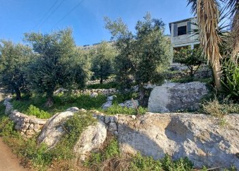 Foto 39 - Independent house Camminate di Sotto, Sonnino - photo 39