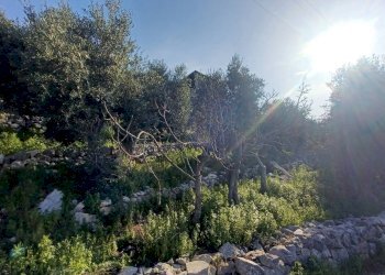 Foto 40 - Independent house Camminate di Sotto, Sonnino - photo 40