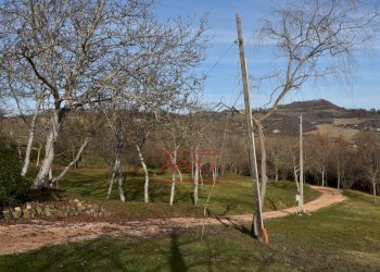 Foto 61 - Rustic VILLA CACCIANEBBIA, Amandola - photo 61