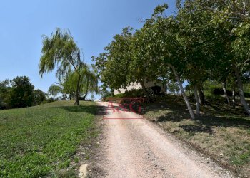 Foto 69 - Rustic VILLA CACCIANEBBIA, Amandola - photo 69