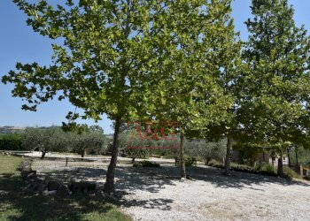 Foto 70 - Rustic VILLA CACCIANEBBIA, Amandola - photo 70
