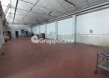 Foto 4 - Capannone Via Milano
 
226, Magenta - foto 4